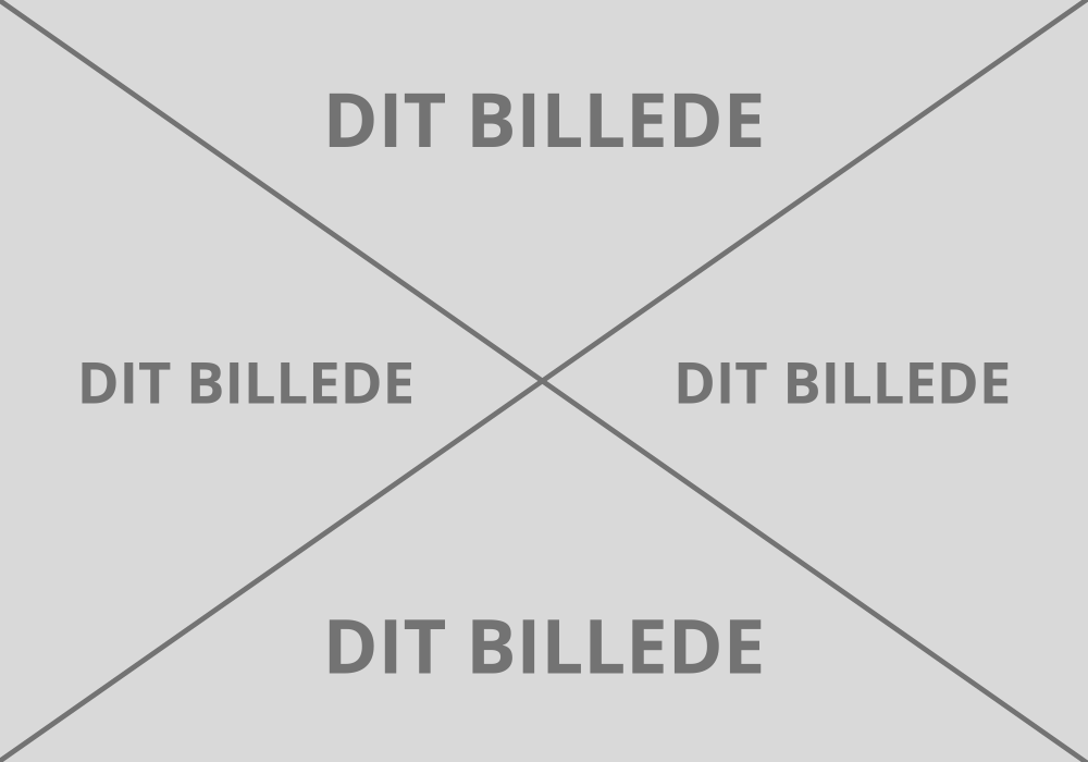 DIT BILLEDE-2