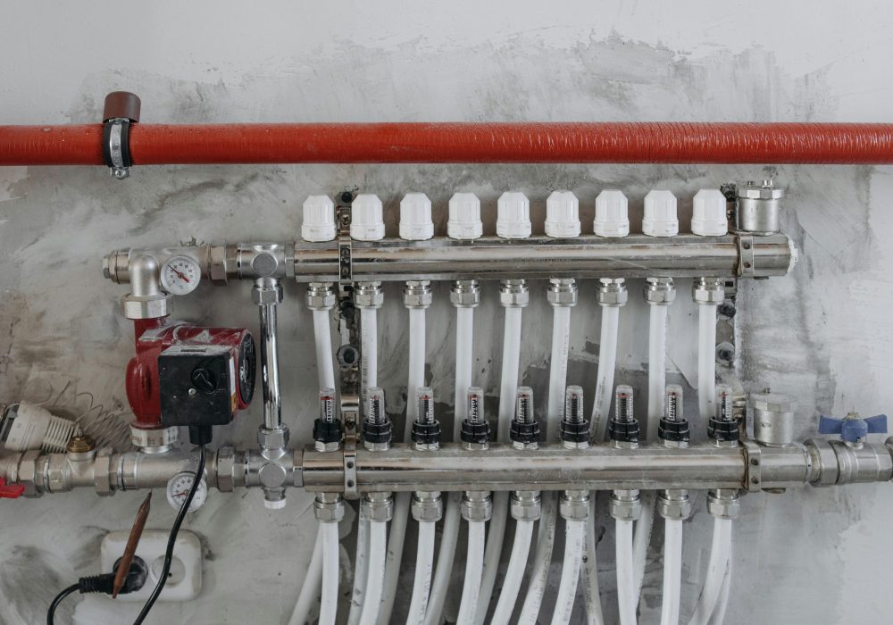 pexels-pavel-danilyuk-7937299